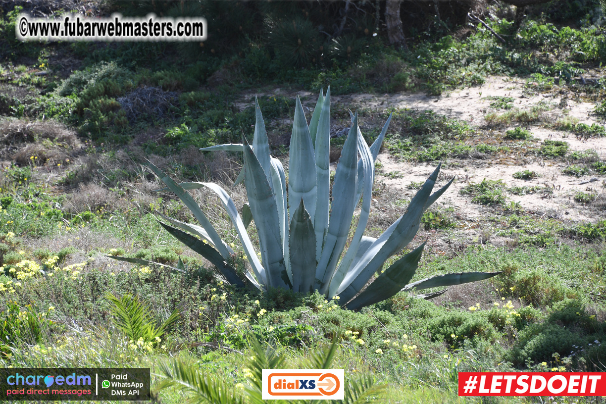 Pre-show MoJoHost Happy Hour