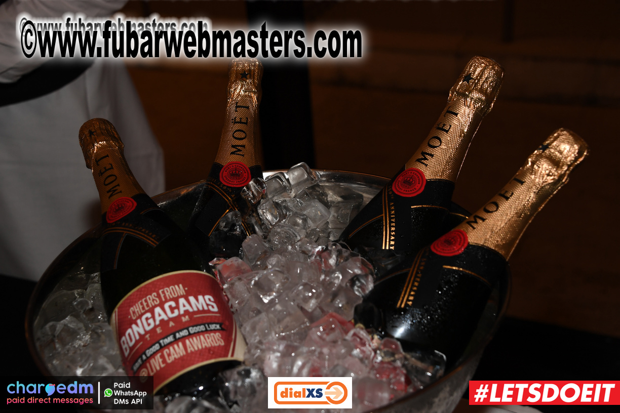 Live Cam Awards Red Carpet