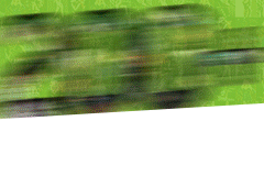 MCProfits.com Helps Affiliates Promote 200+ Undersaturated Solo Girl Sites